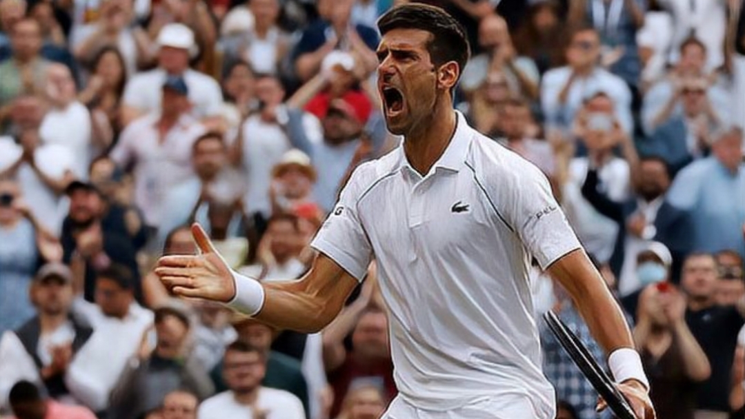 包含温网险胜拉沃尔杯，德约科维奇状态火热的词条