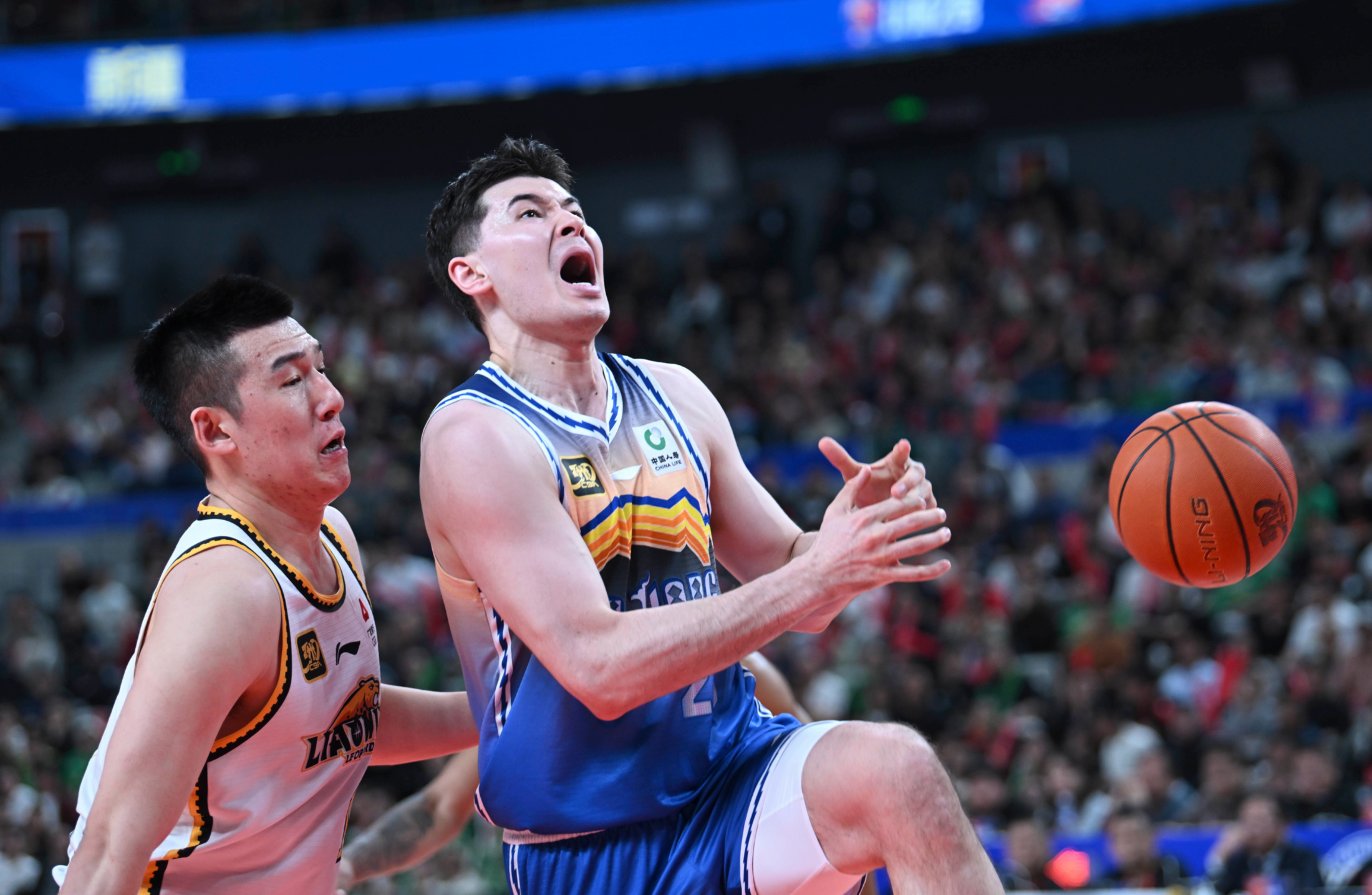 辽宁队碾压猛龙，东契奇状态火热