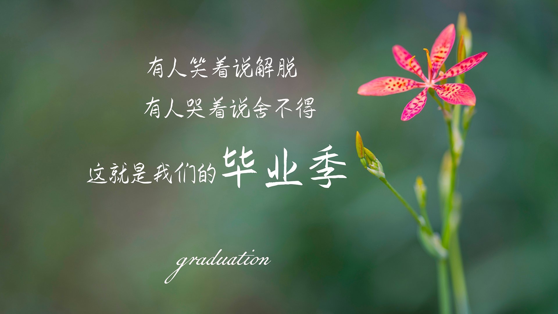 从黯然到闪耀，鲁德如何将美网阴影锻造成年终高光