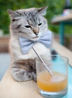 迈凯伦的银箭奏鸣曲，诺里斯以纪录为符，横扫哈斯谱写新章