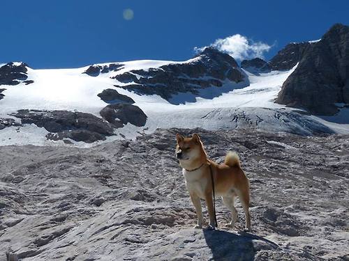 绿茵烽火中的永恒电流，从哥伦比亚对阵葡萄牙窥见迪马利亚的稳定输出哲学