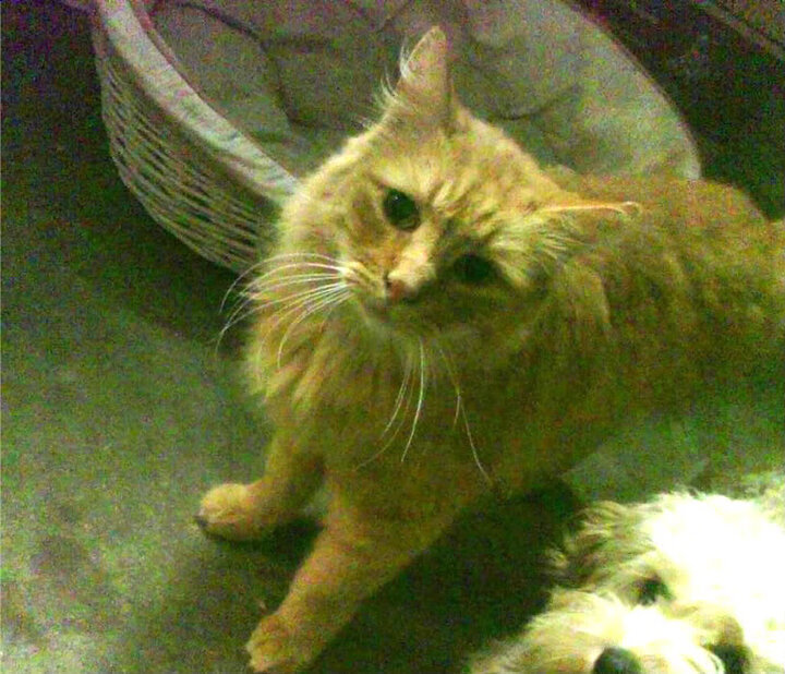 绿茵与硬木的焦点对决，从国家德比到热火的硬仗胜利