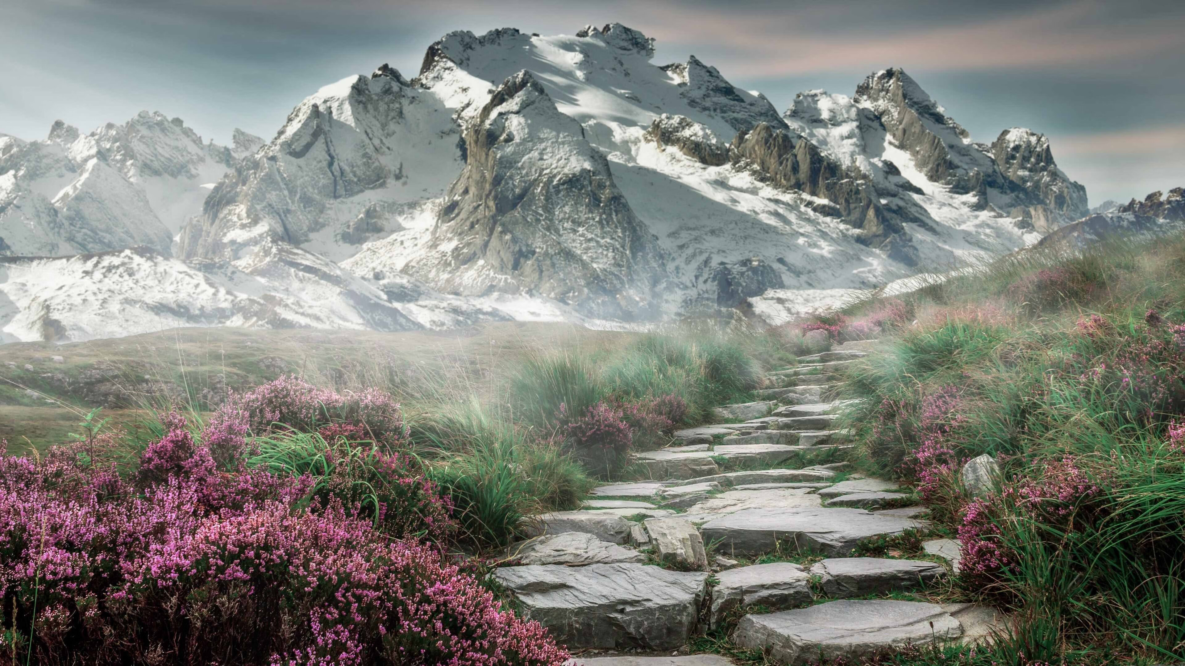 南美魔力注入钢铁战车，勒沃库森的委内瑞拉引擎如何驱动欧冠奇迹