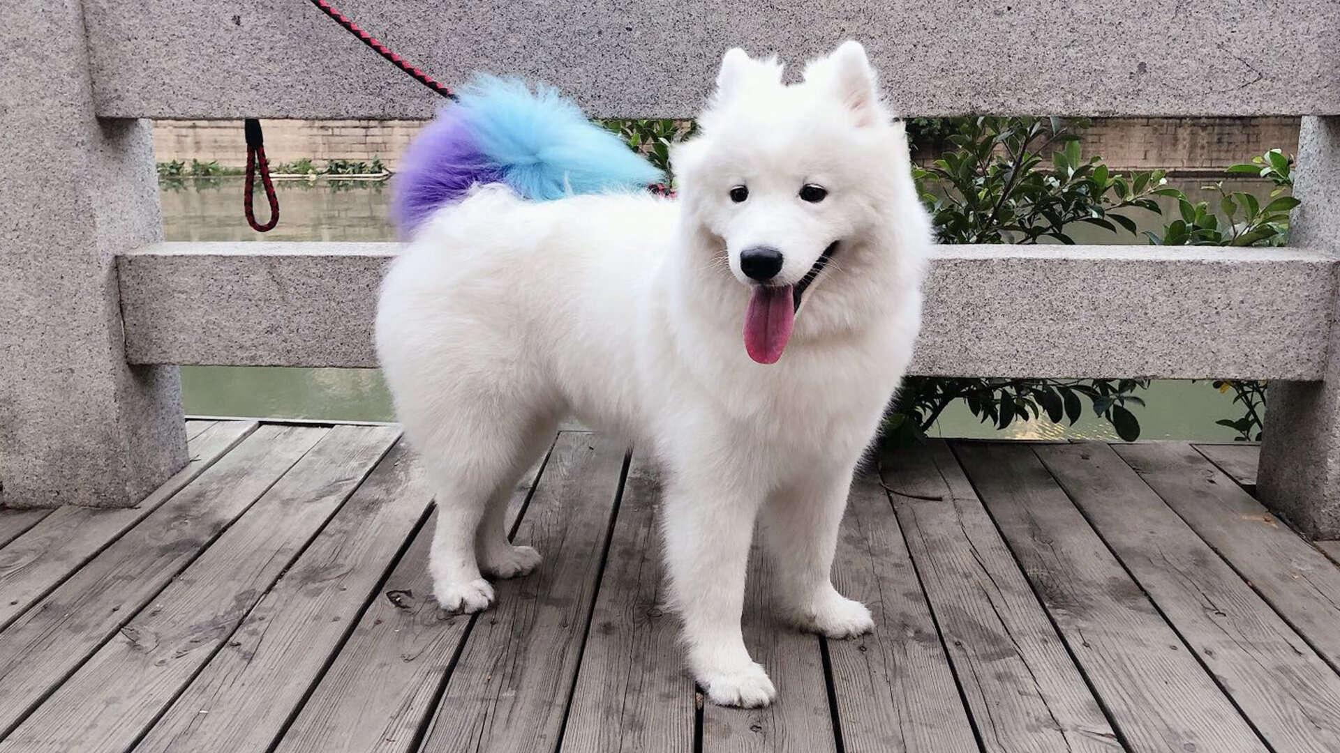 跨越时空的决胜者，从哈弗茨的绿茵传奇到新西兰的冠军意志