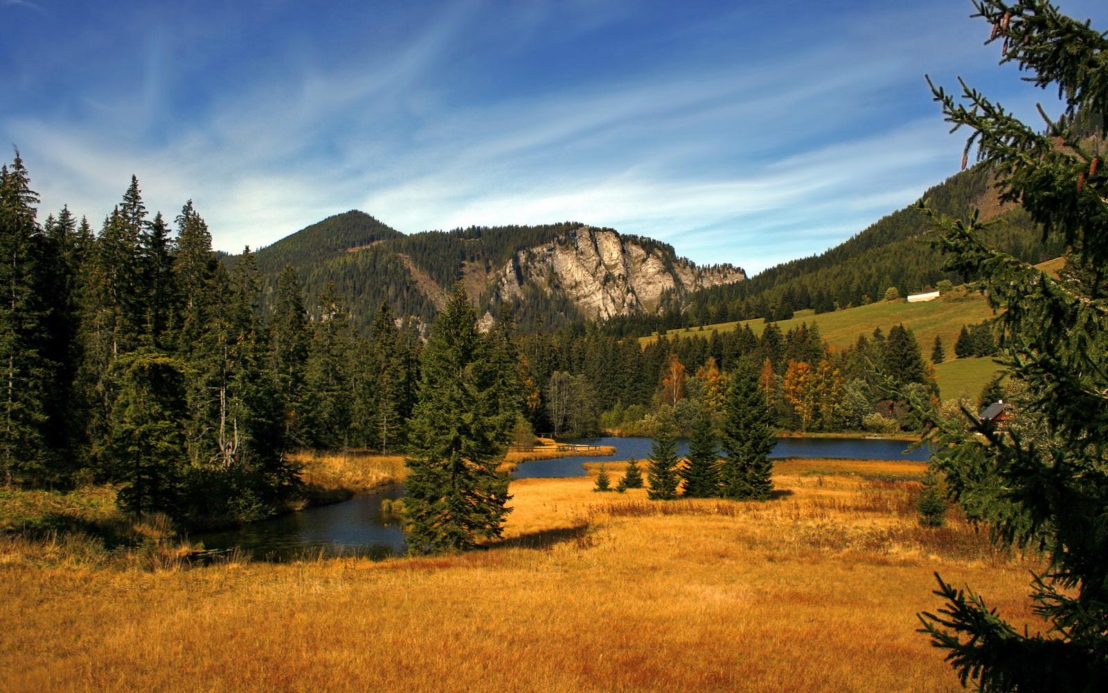 当鹰击长空遇上熊踞于野,字母哥如何用一次攻防转换定义赛季拐点之战