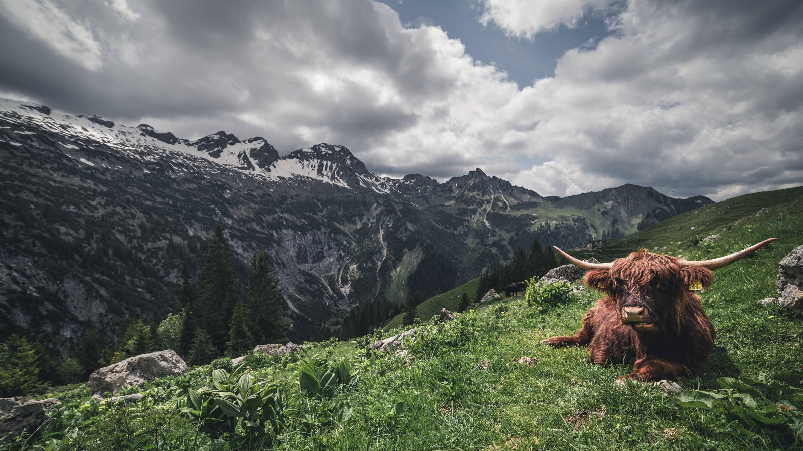 赛场之外，当联盟唯一成为打破次元壁的史诗序曲