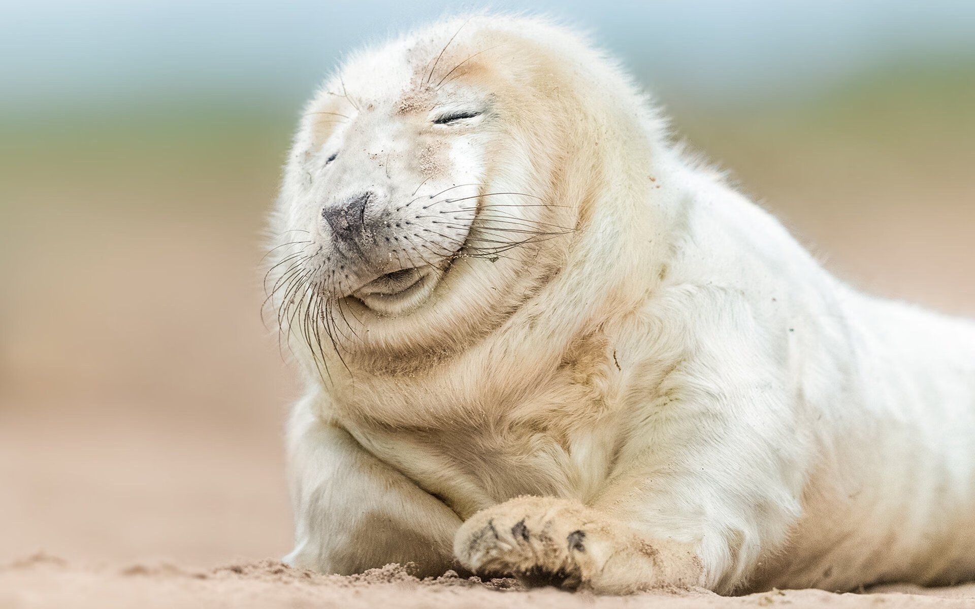 土耳其节奏掌控拉齐奥,奥利维耶化身关键先生