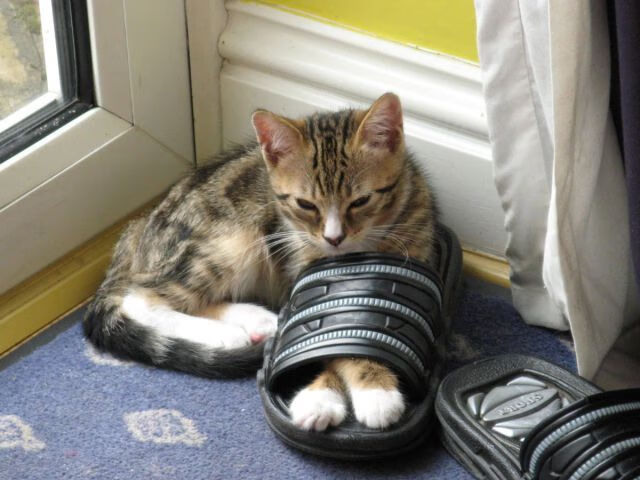 冰与火之歌,利拉德在总决赛炼狱中淬炼的零波动神迹