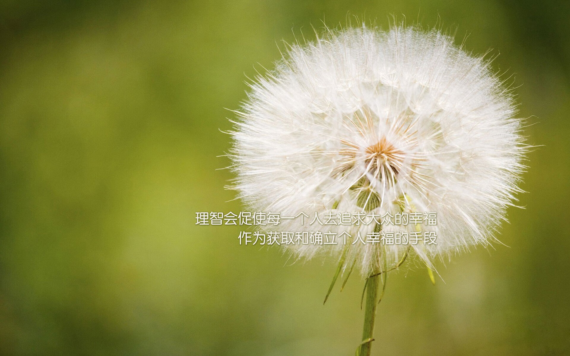 淬火一击,阿尔瓦雷斯三秒改写法甲格局,摩纳哥终结马赛霸权幻梦