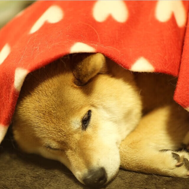 绿茵场上的NBA式绞杀，2026世界杯焦点战，活塞式硬仗击溃热火意志