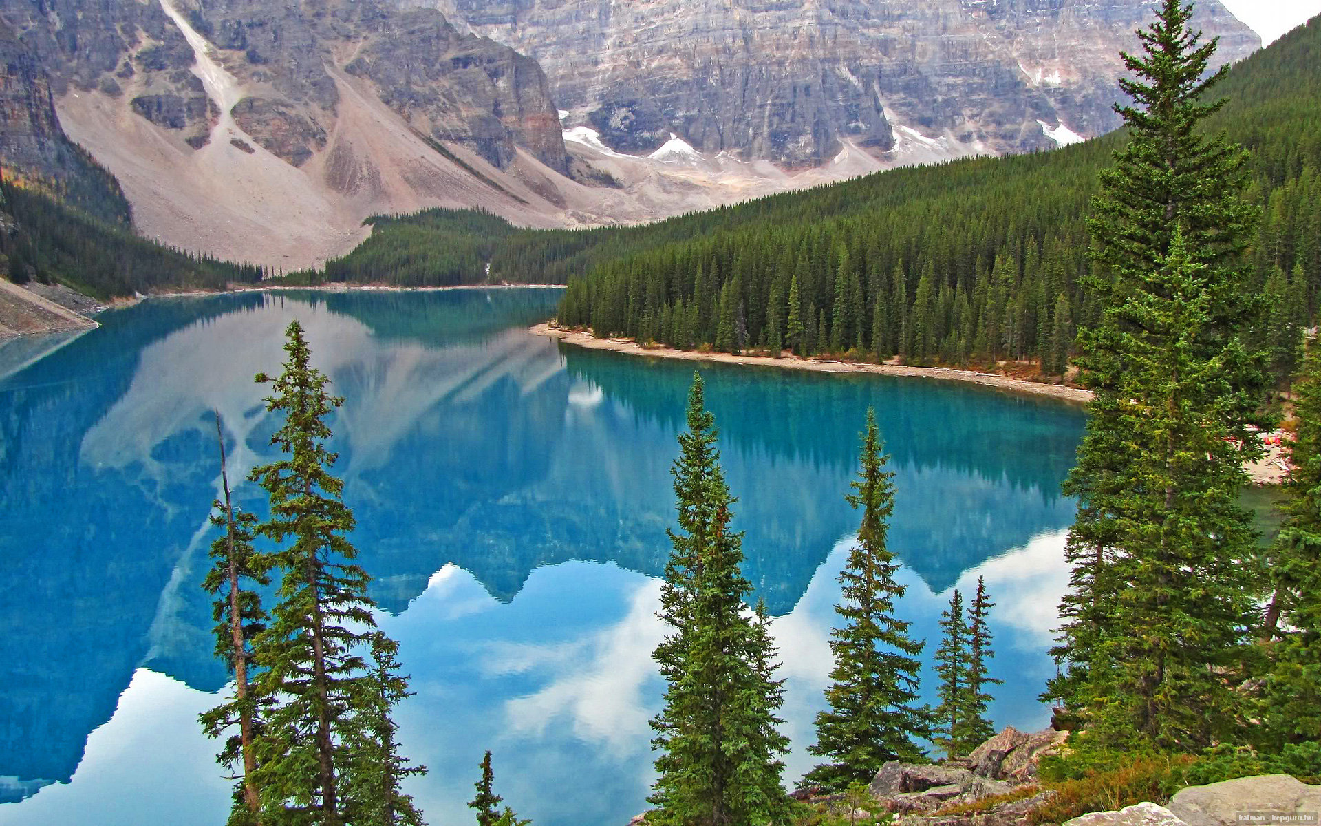 篮球之夜的双重奇迹,开拓者逆袭黄蜂,克莱欧冠淘汰赛主宰战场