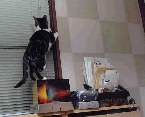 欧洲最不可能的大戏，无豪门摩纳哥如何欧冠狂胜国米，加克波只手导演出这唯一剧本？