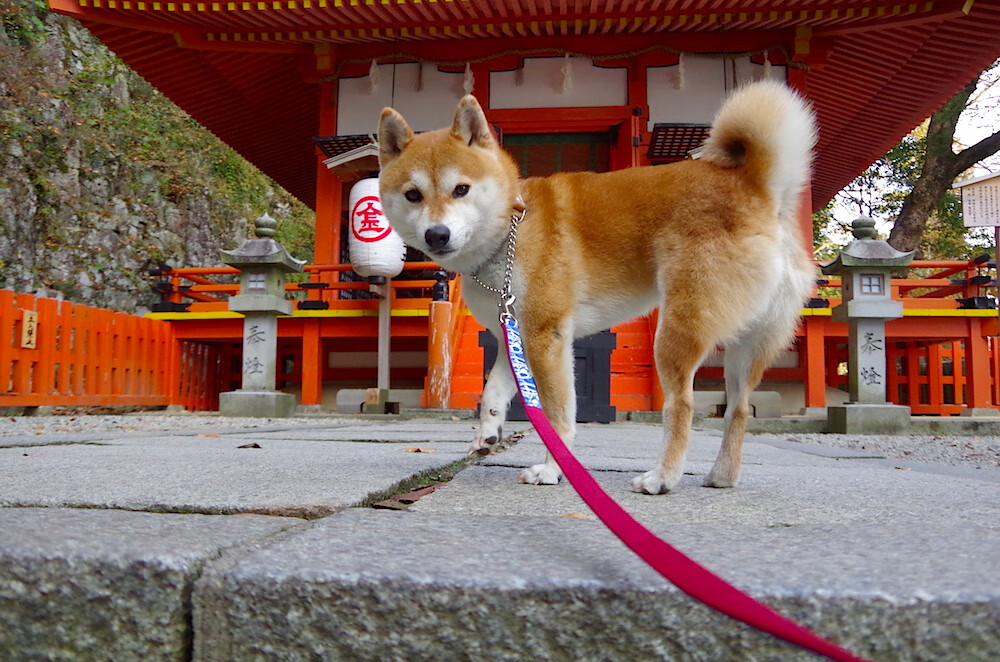 美加墨夜幕下的定海神针,巴斯托尼一战封神的雨中之舞