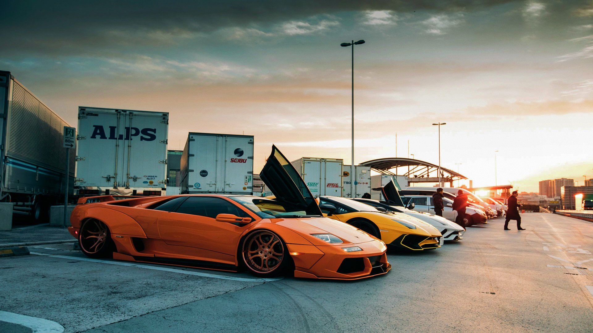 霍勒迪的节拍器,当篮球成为一场精心策划的慢放艺术