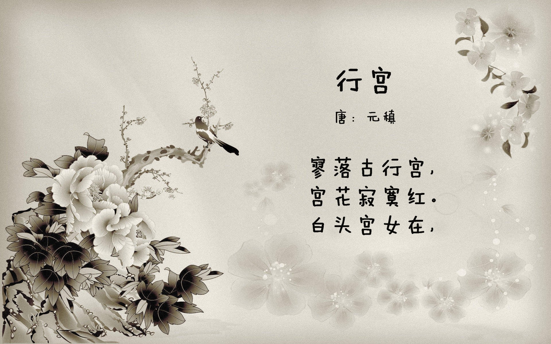 锡安，攻防转换的唯一核心，浙江队轻取吉林队