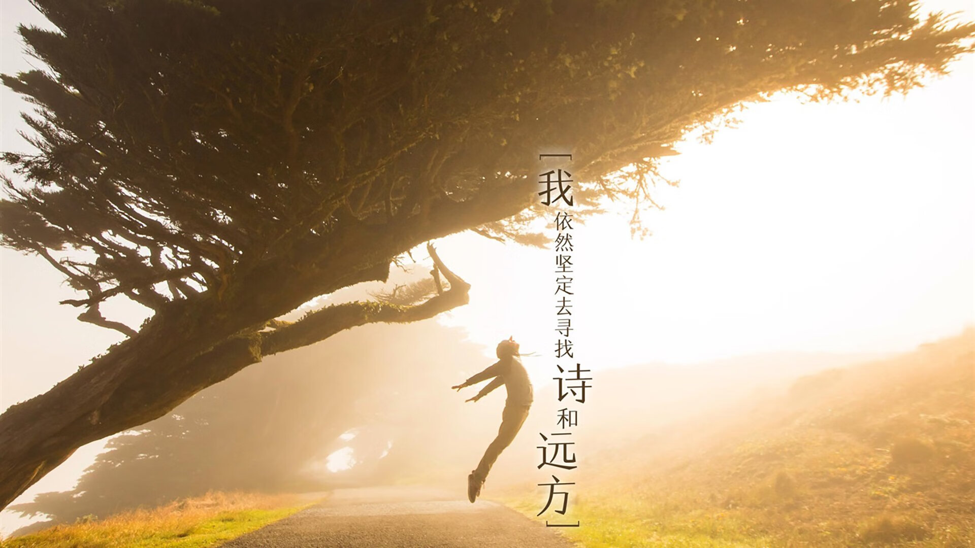 狂飙41分！西亚卡姆化身极寒风暴，新疆队主场冻结太阳