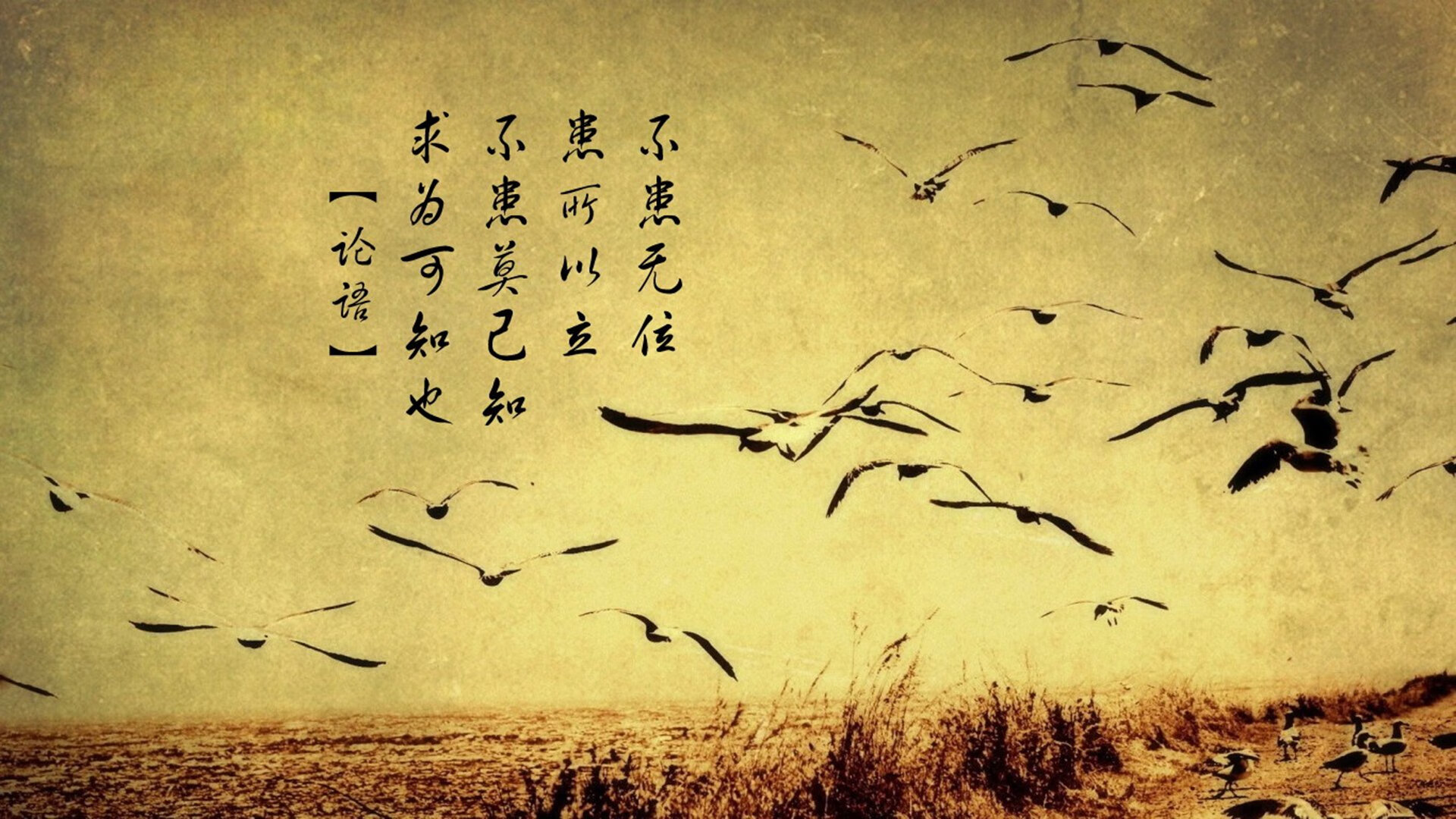 双舞台的终极接管，当乔治在两种时区投出绝杀球