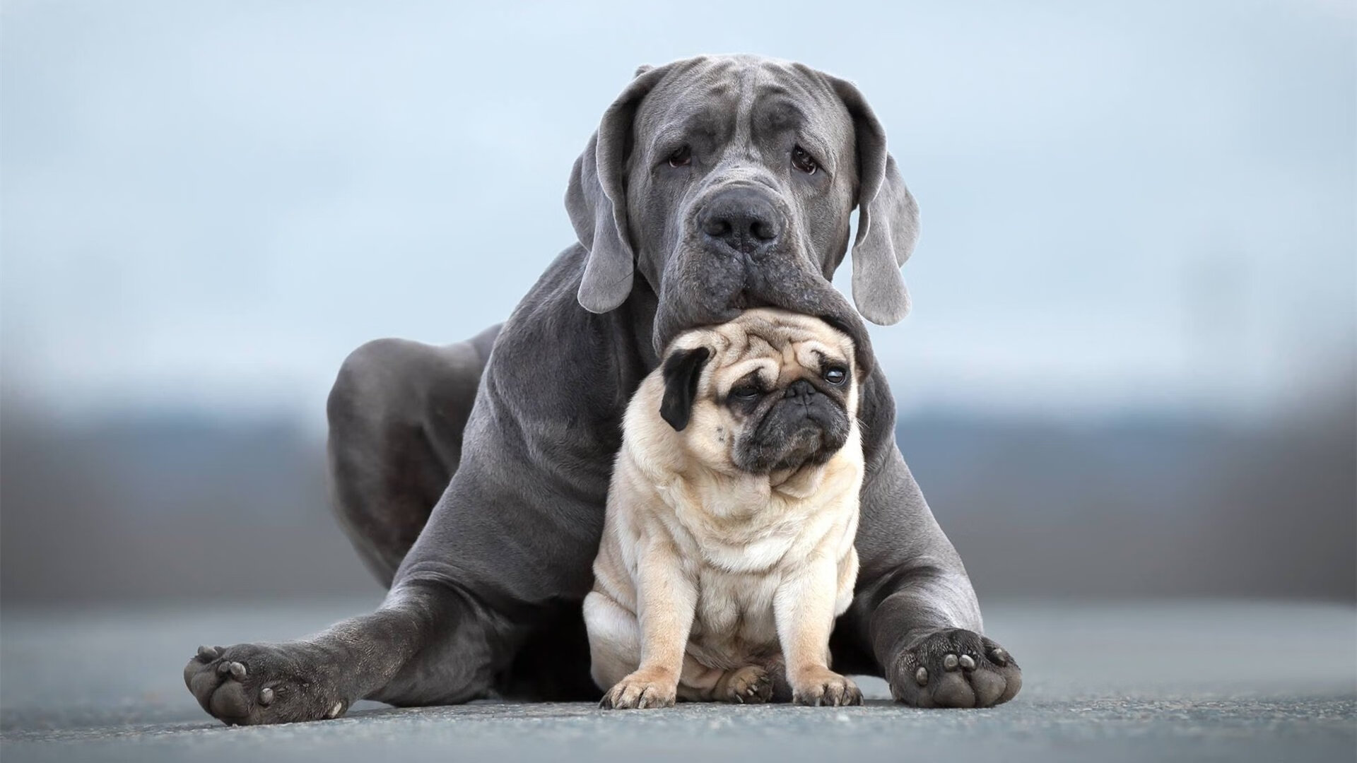 引擎全开与窒息攻防，当F1超车哲学降临篮球场