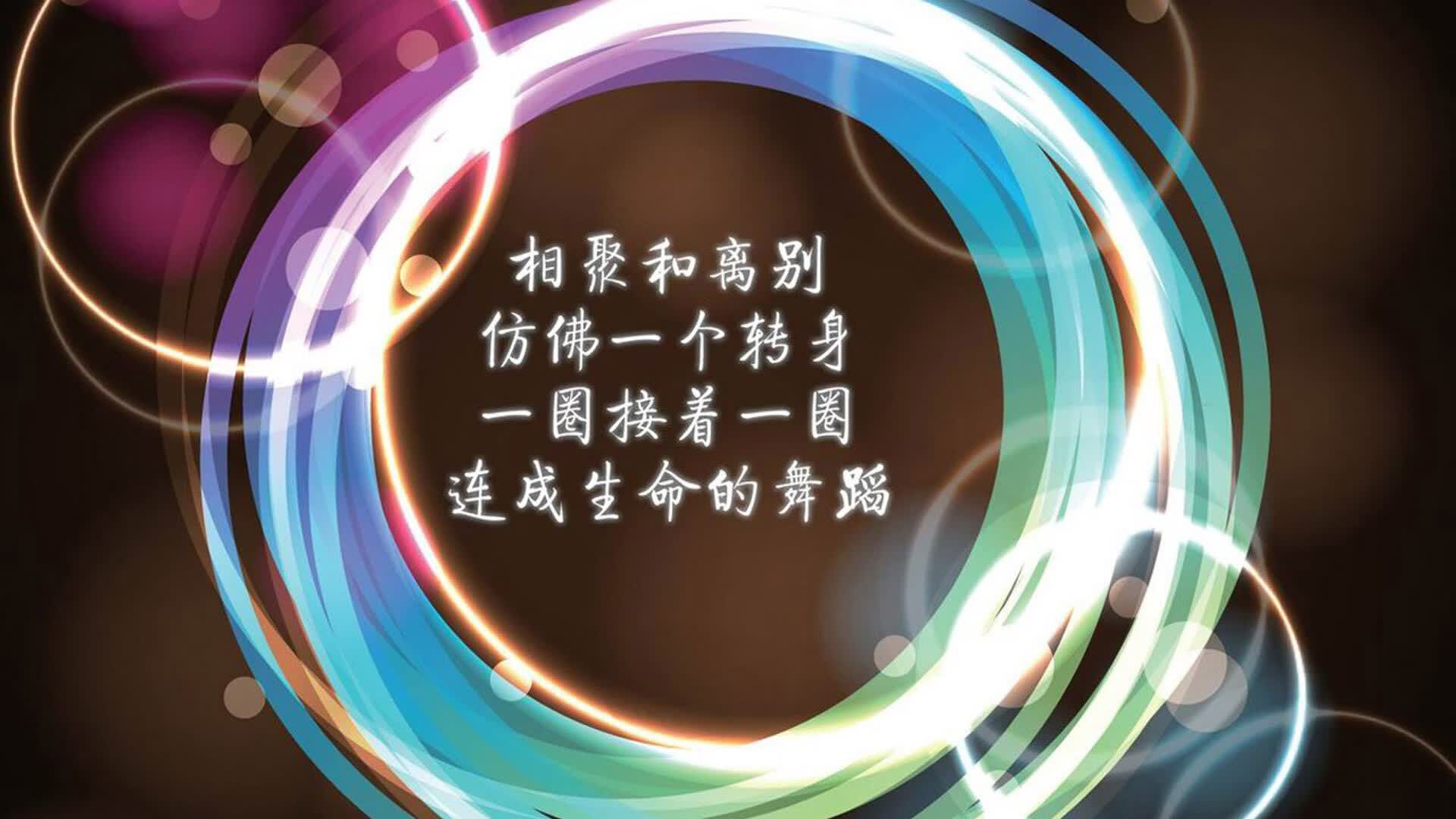 喀麦隆雄狮怒吼，德容运筹帷幄，B组生死战碾压波兰书写2026世界杯传奇