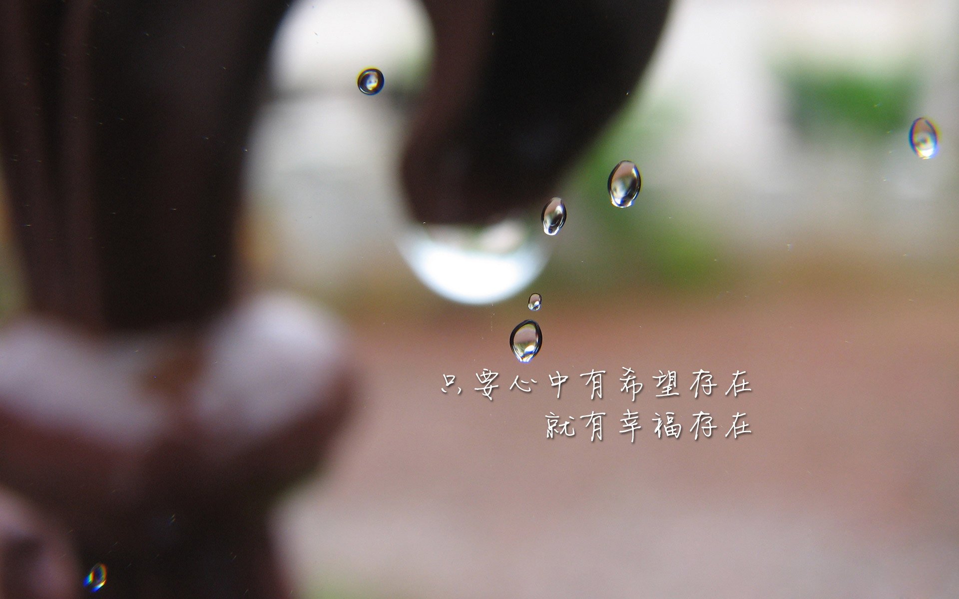 鹰与桑巴的午后，当罗马尼亚的钢铁意志刺穿厄瓜多尔的雨林，内马尔在命运的裂缝中起舞